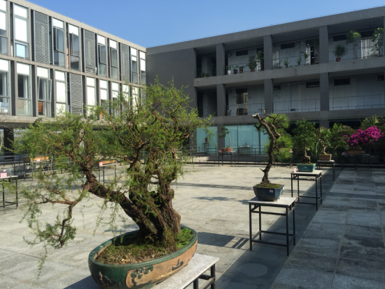 微信图片_20171117165932